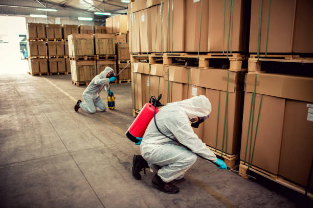Best Mosquito Control Services  in Lightstreet, PA
