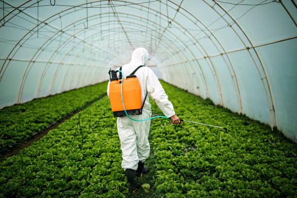 Best Local Pest Control Services  in Lightstreet, PA