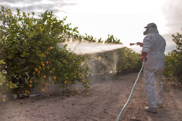 Best Commercial Pest Control Services  in Lightstreet, PA