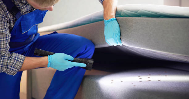Best Wasp Removal Services  in Lightstreet, PA